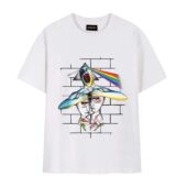 Division Bell 1994 Meets The Dark Side Of The Wall Front Tshirt White - OtherBrick