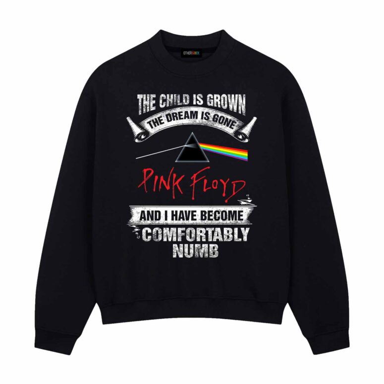 The Child Is Grown The Dream Is Gone I Have Become Comfortably Numb Pink Floyd Shirt The Child Is Grown The Dream Is Gone I Have Become Comfortably Numb Pink Floyd Shirt