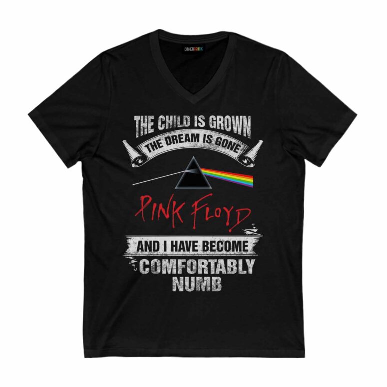 The Child Is Grown The Dream Is Gone I Have Become Comfortably Numb Pink Floyd Shirt The Child Is Grown The Dream Is Gone I Have Become Comfortably Numb Pink Floyd Shirt