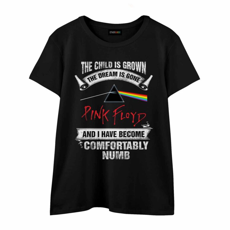 The Child Is Grown The Dream Is Gone I Have Become Comfortably Numb Pink Floyd Shirt The Child Is Grown The Dream Is Gone I Have Become Comfortably Numb Pink Floyd Shirt