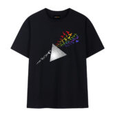 Flying Bird Dark Side Of The Moon Front Tshirt Black - OtherBrick