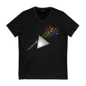Flying Bird Dark Side Of The Moon Front Vneck Black - OtherBrick