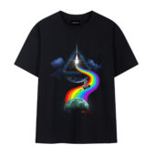 The Endless River Dark Side Of The Moon Front Tshirt Black - OtherBrick