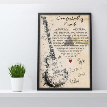 Comfortably Numb Lyrics Pink Floyd Canvas Comfortably Numb Lyrics Pink Floyd Canvas