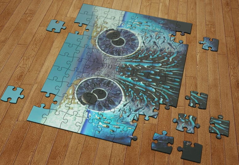 Pulse Owl Eyes Wooden Pink Floyd Puzzle Pulse Owl Eyes Wooden Pink Floyd Puzzle