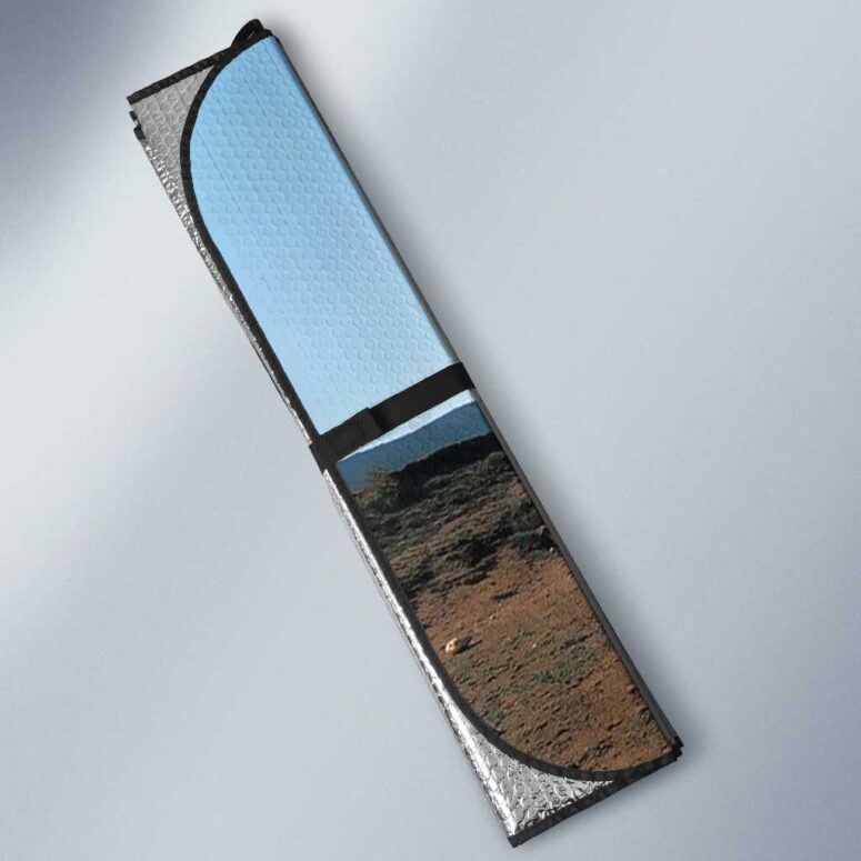 Delicate Sound Of Thunder Pink Floyd Auto Sun Shade