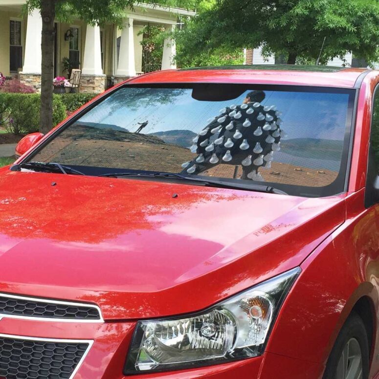 Delicate Sound Of Thunder Pink Floyd Auto Sun Shade