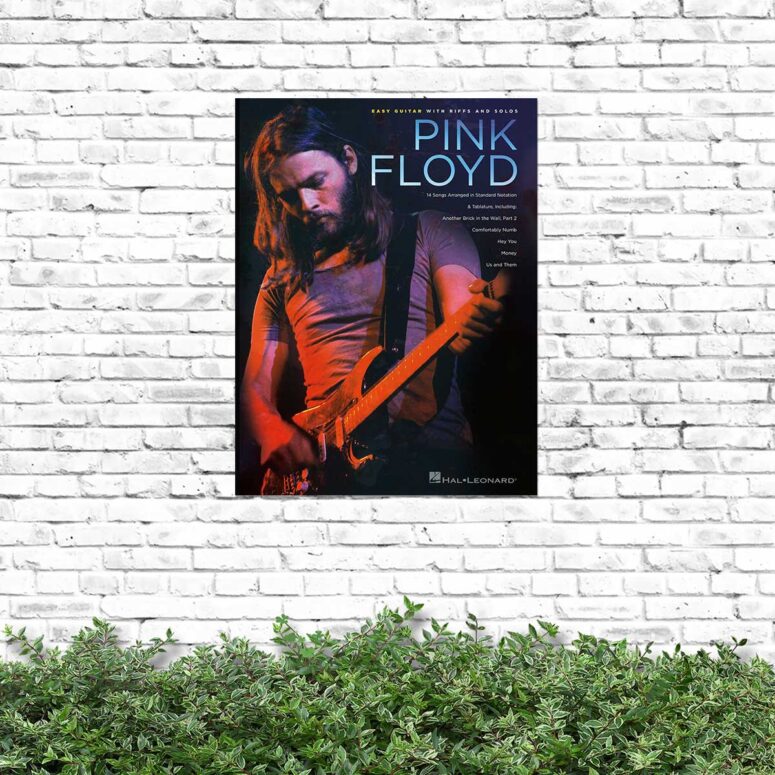 David Gilmour Easy Guitar with Riffs and Solos Pink Floyd Metal Sign David Gilmour Easy Guitar with Riffs and Solos Pink Floyd Metal Sign