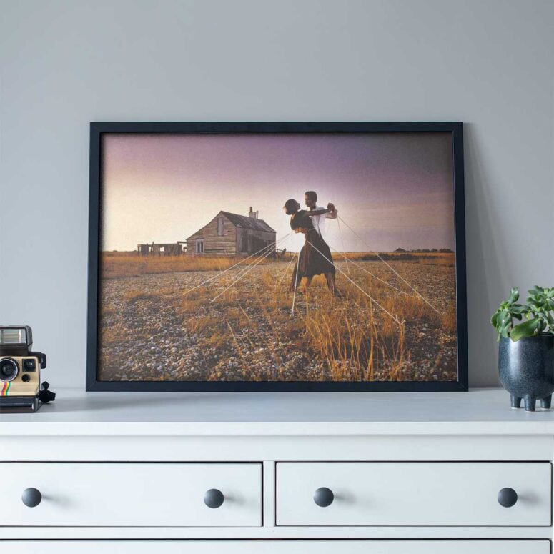 Pink Floyd Poster - A Collection of Great Dance Songs Album Cover 1981