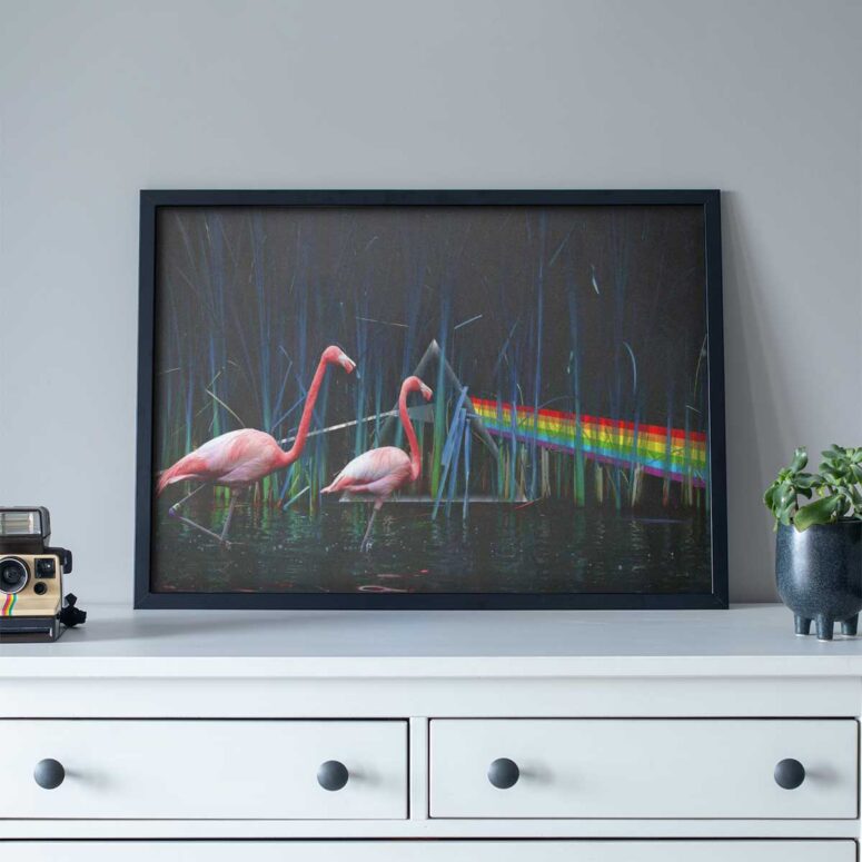 Pink Floyd Poster - Flamingo DSOTM Pink Floyd Poster - Flamingo DSOTM