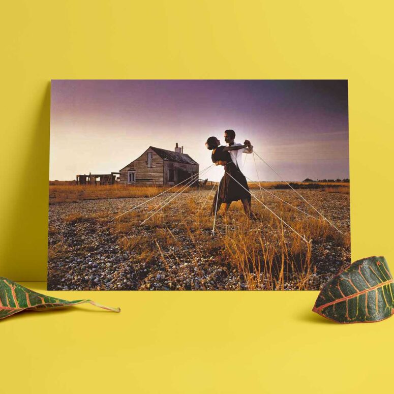 Pink Floyd Poster - A Collection of Great Dance Songs Album Cover 1981