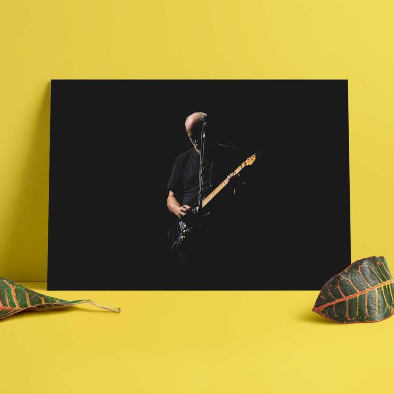 Pink Floyd Poster - David Gilmour In The Dark