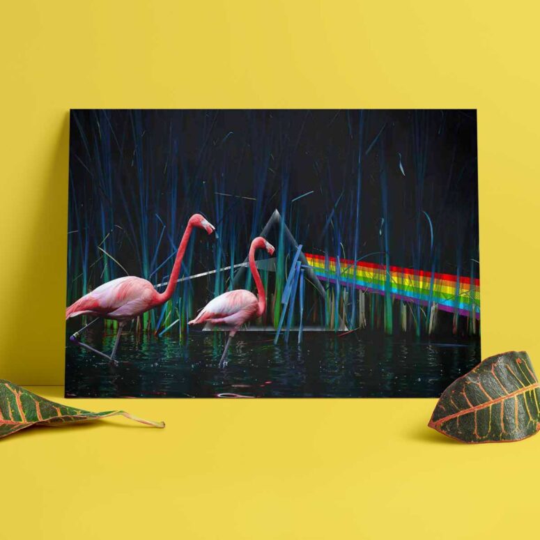 Pink Floyd Poster - Flamingo DSOTM Pink Floyd Poster - Flamingo DSOTM