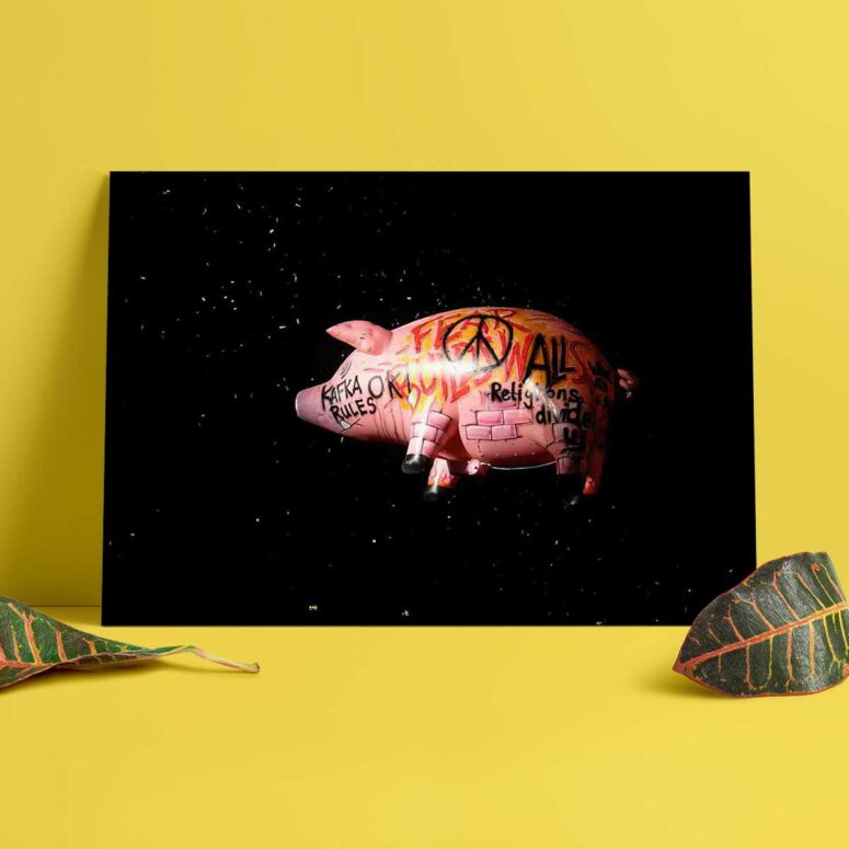 Pink Floyd Poster - Pink Floyds Flying Pig
