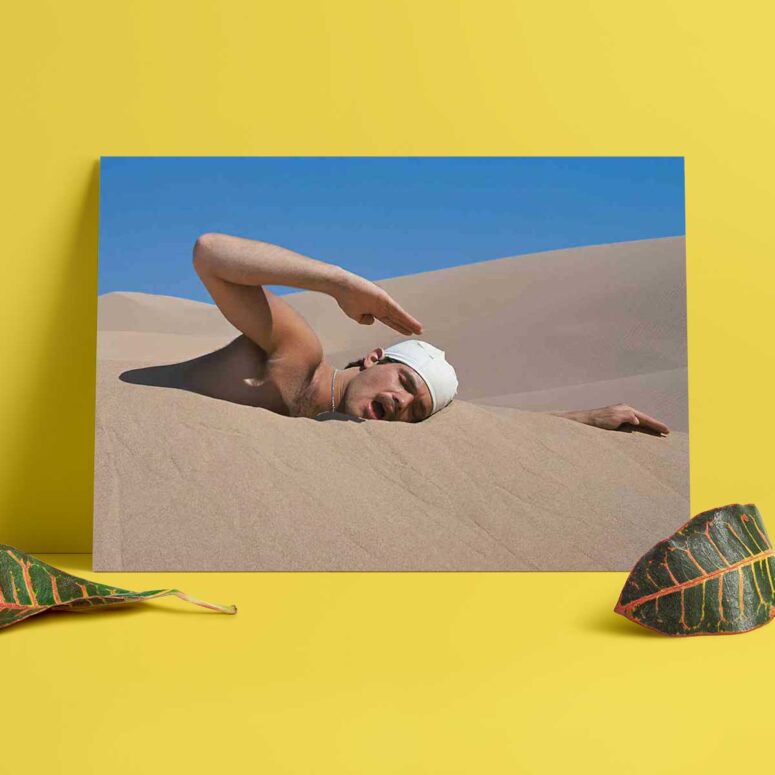 Pink Floyd Poster - The Meaning of Half Life Desert Swimmer 1975