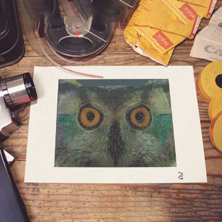Pink Floyd Poster - Owl Eyes Pink Floyd Poster - Owl Eyes