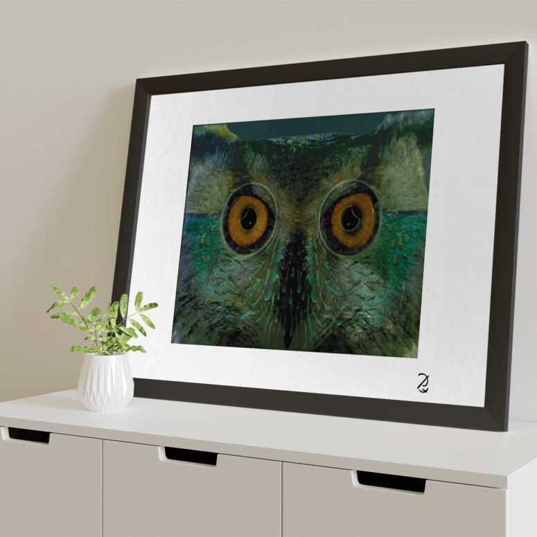 Pink Floyd Poster - Owl Eyes Pink Floyd Poster - Owl Eyes