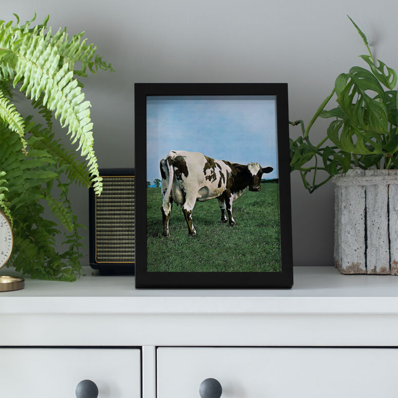 Pink Floyd Poster - Atom Heart Mother Pink Floyd Poster - Atom Heart Mother