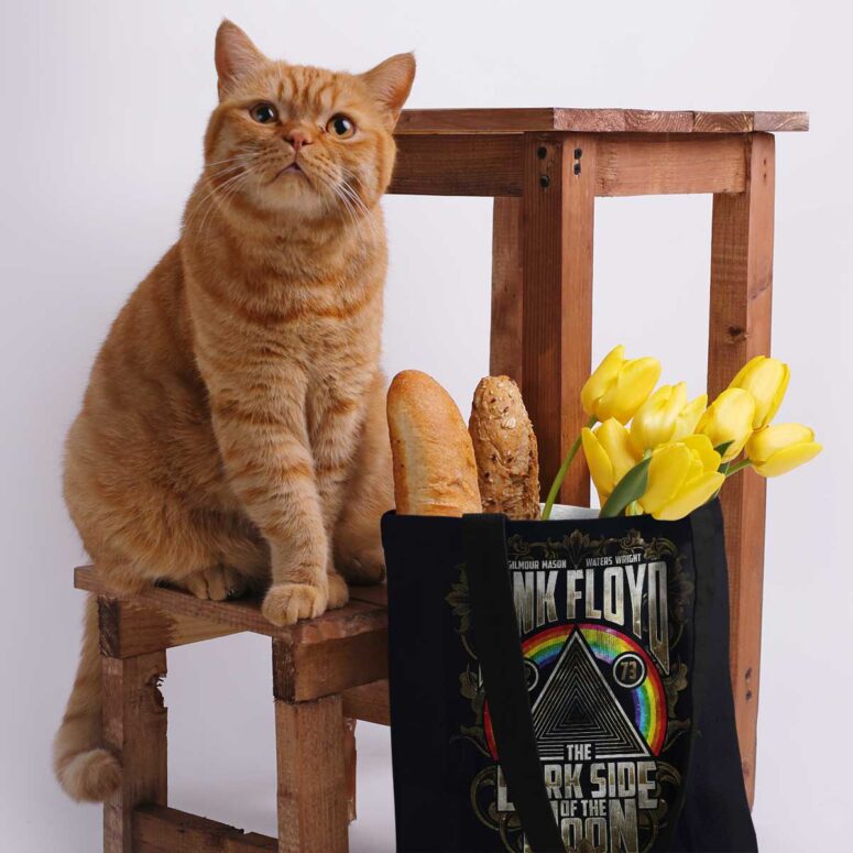 Pink Floyd Tote Bag - Dark Side Of The Moon 1972 1973 Pink Floyd Tote Bag - Dark Side Of The Moon 1972 1973