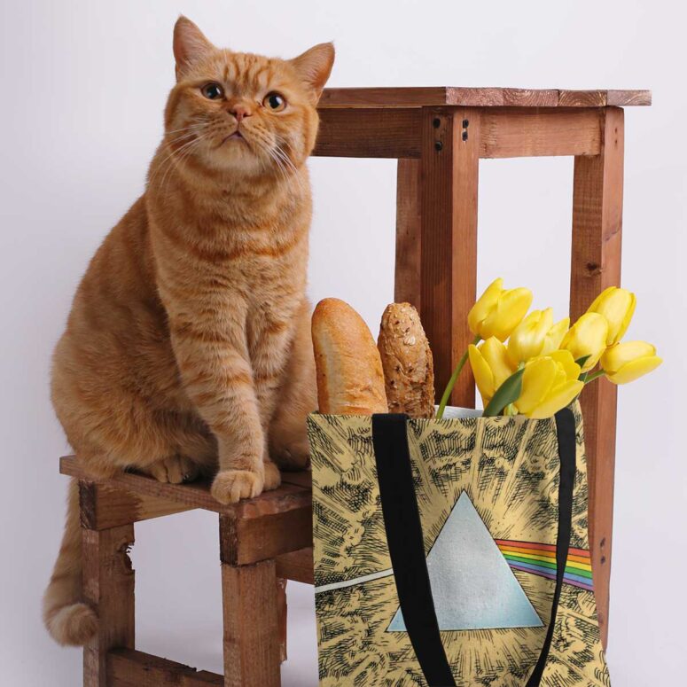 Pink Floyd Tote Bag - Dark Side Of The Moon Cartoon Style
