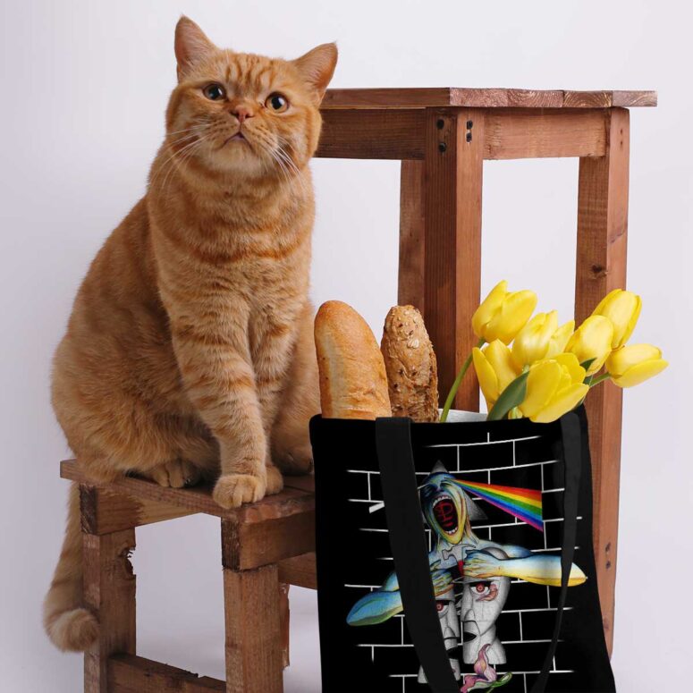 Pink Floyd Tote Bag - Division Bell Meets The Dark Side Of The Wall