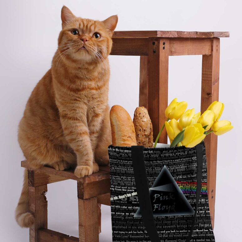 Pink Floyd Lyric Collage Prism Vintage Tote Bag Pink Floyd Lyric Collage Prism Vintage Tote Bag