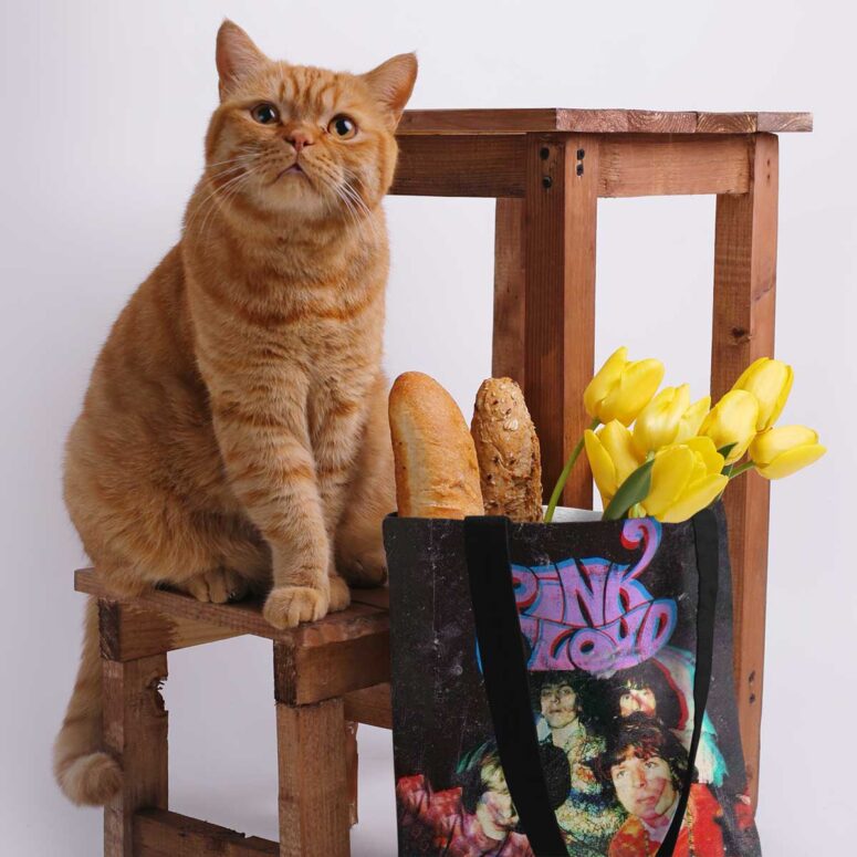 Pink Floyd Tote Bag - Psychedelic Art