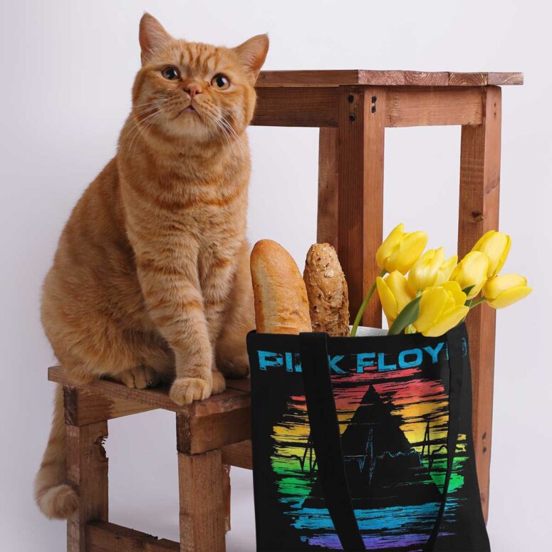 Pink Floyd Tote Bag - Rainbow Prism