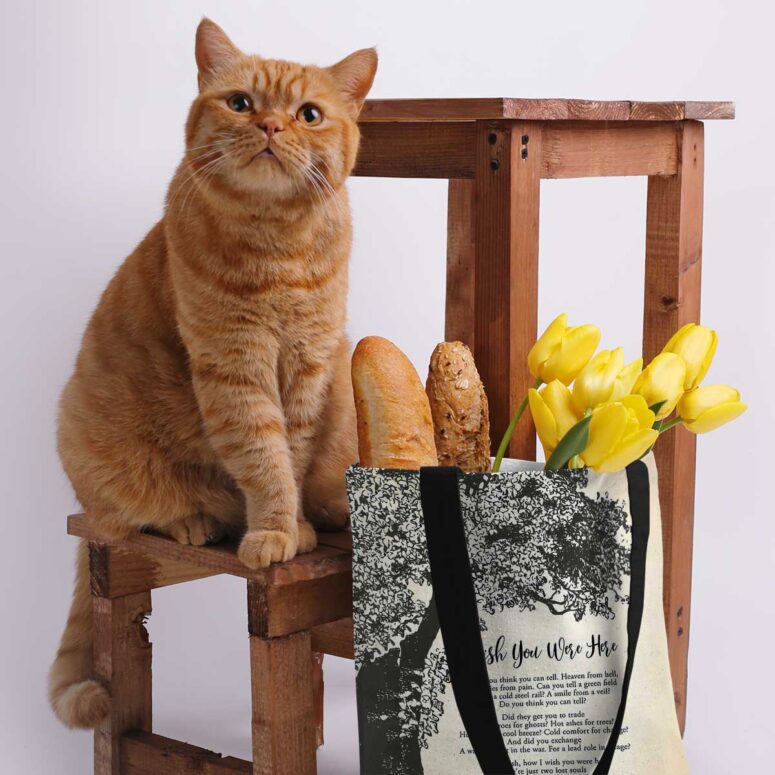 Pink Floyd Tote Bag - Wish You Were Here Lyric Vintage Tree