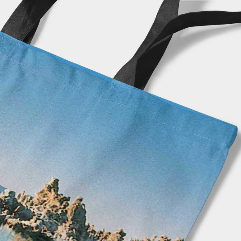 Mono Lake Wish You Were Here, Diver, Album Inner Sleeve - Pink Floyd Tote Bag