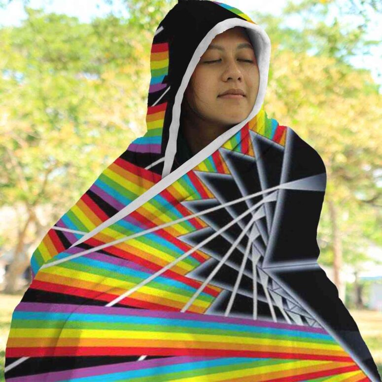 You have Got To Be Crazy Pink Floyd Hooded Blanket