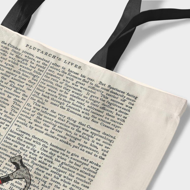 Pink Floyd Tote Bag - Hammers The Wall Art Print on 1850 Antique Book Page Pink Floyd Tote Bag - Hammers The Wall Art Print on 1850 Antique Book Page