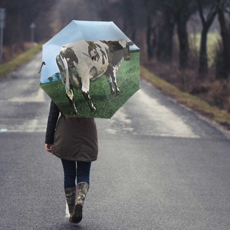 Pink Floyd Umbrella - Atom Heart Mother