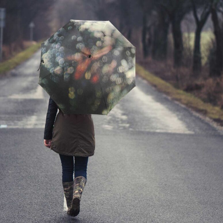 Pink Floyd Umbrella - Obscured by Clouds