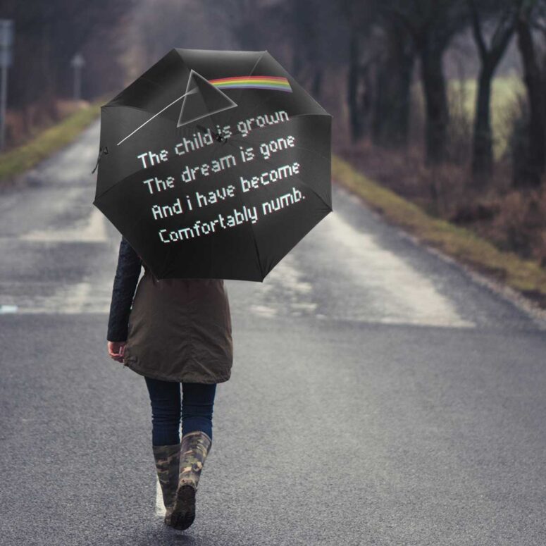 Pink Floyd Umbrella - The child is grown