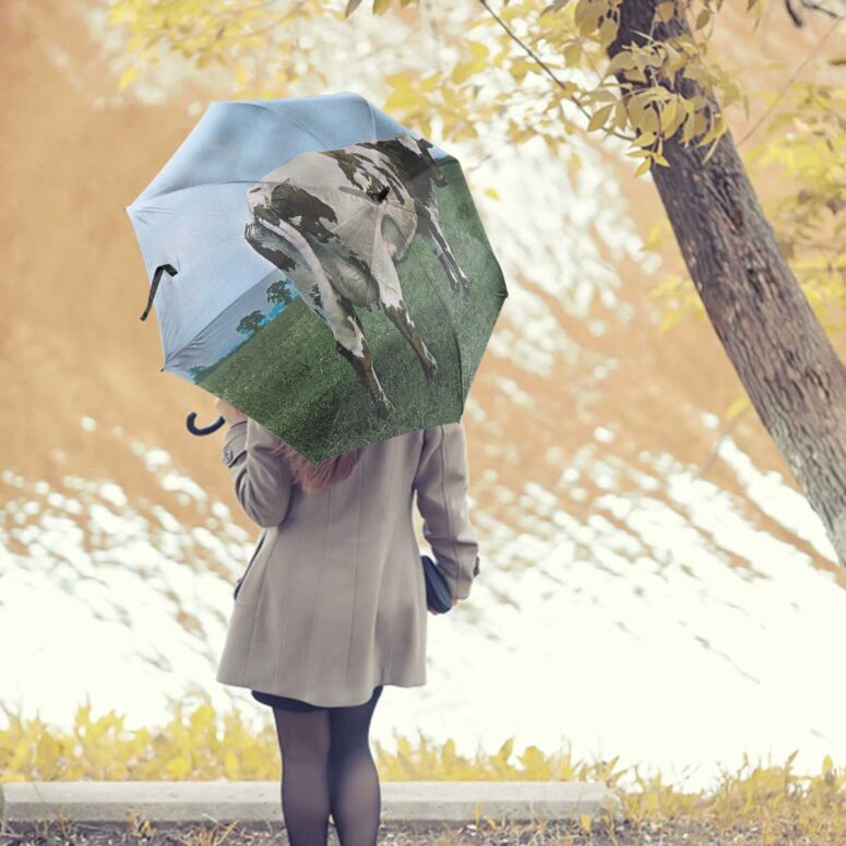 Pink Floyd Umbrella - Atom Heart Mother