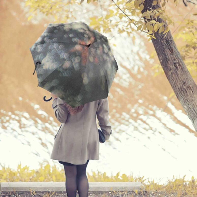 Pink Floyd Umbrella - Obscured by Clouds