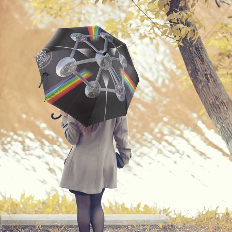 Pink Floyd Umbrella - Live In Brussels Pink Floyd Umbrella - Live In Brussels