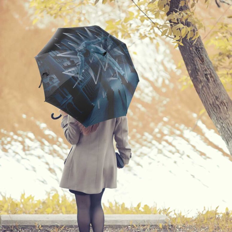 Pink Floyd Umbrella - Pulse Box Set Book Cover 1995