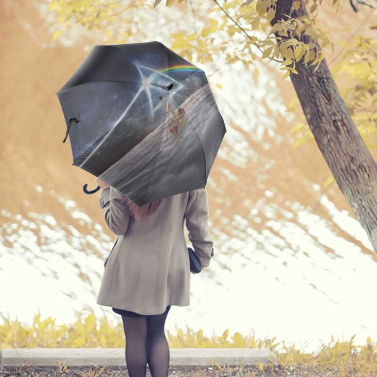 Pink Floyd Umbrella - The Endless River x DSOTM Pink Floyd Umbrella - The Endless River x DSOTM