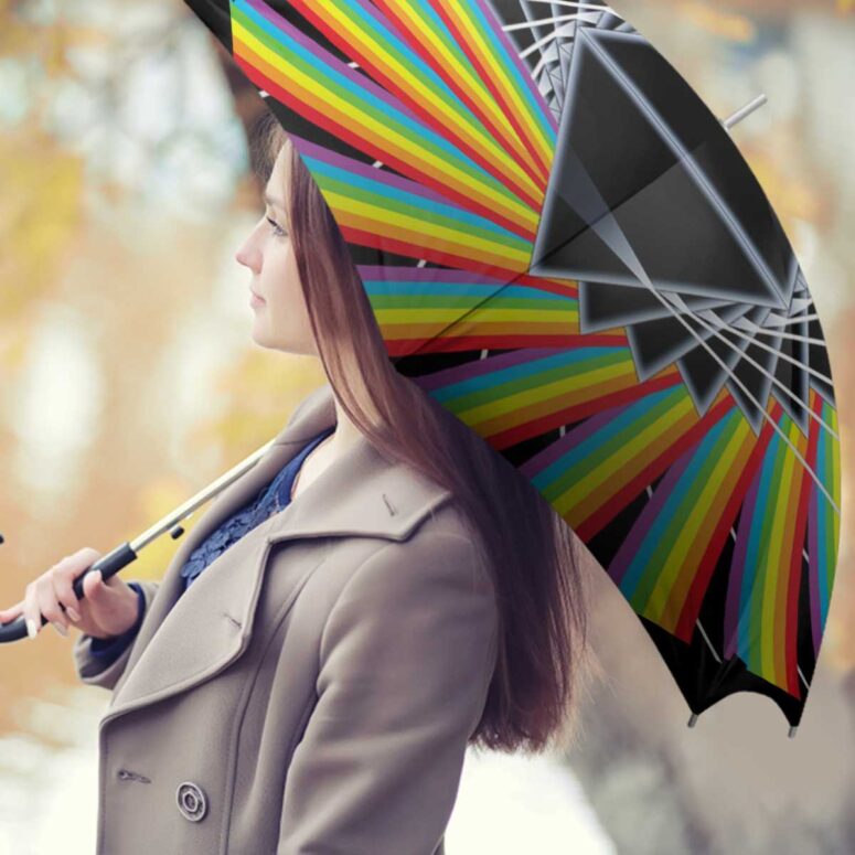 Pink Floyd Umbrella - You have Got To Be Crazy