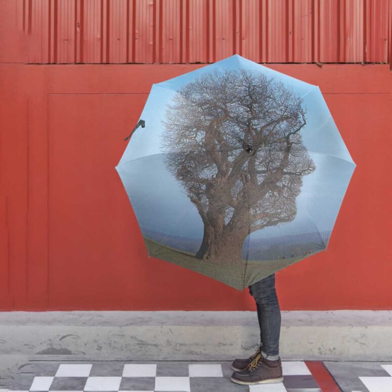 Pink Floyd Umbrella - Tree Of Half Life