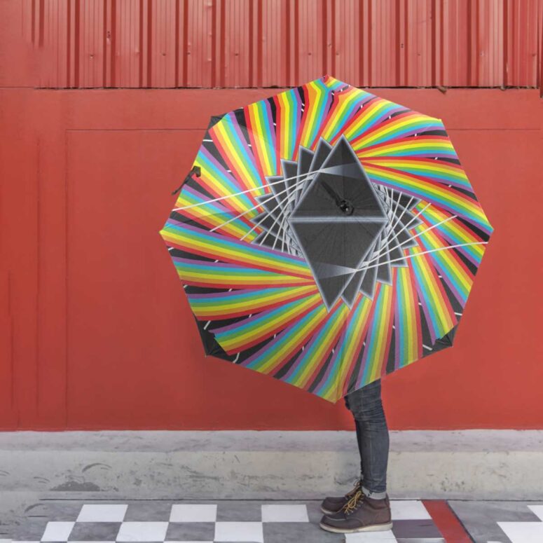 Pink Floyd Umbrella - You have Got To Be Crazy