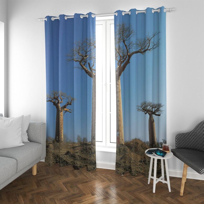 Pink Floyd Window Curtains - Delicate Sound of Thunder Back Cover 1988