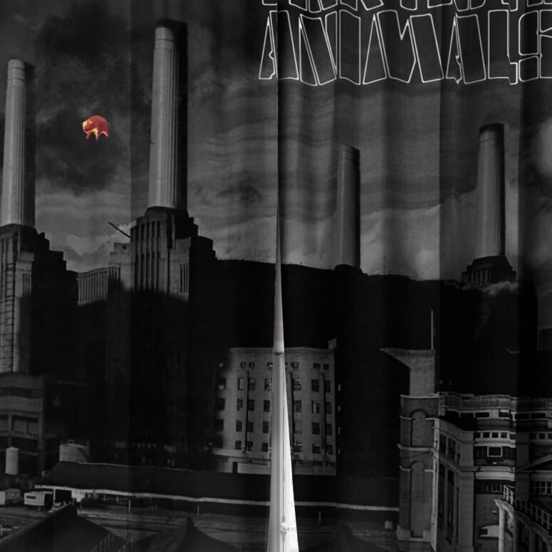Pink Floyd Window Curtains - Animals Monotone Album Art