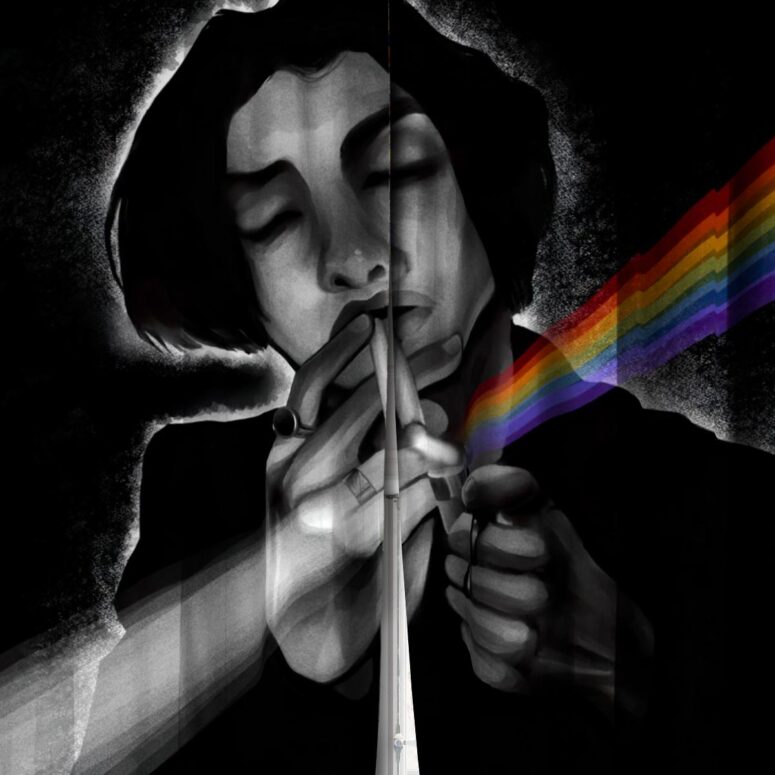 Pink Floyd Window Curtains - Any colour you like
