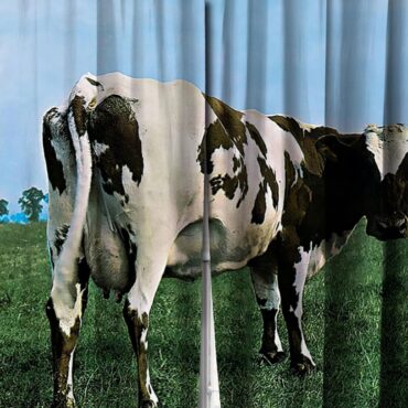 Pink Floyd Window Curtains - Atom Heart Mother