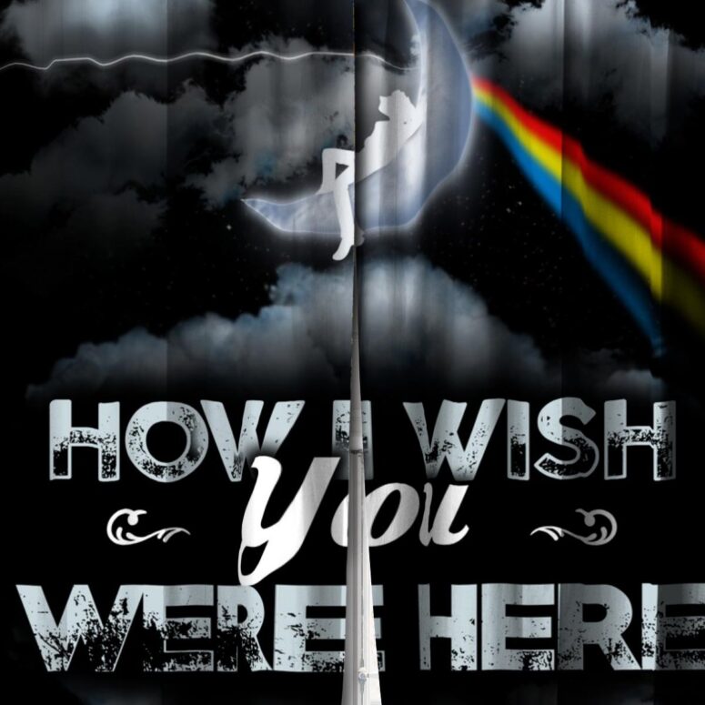 Pink Floyd Window Curtains - How Wish You Were Here Art