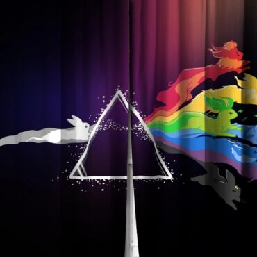 Pink Floyd Window Curtains - Rabbit