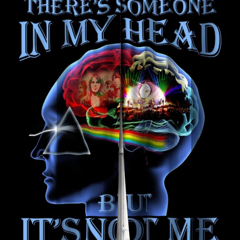 Pink Floyd Window Curtains - There's Someone in My Head But It's Not Me